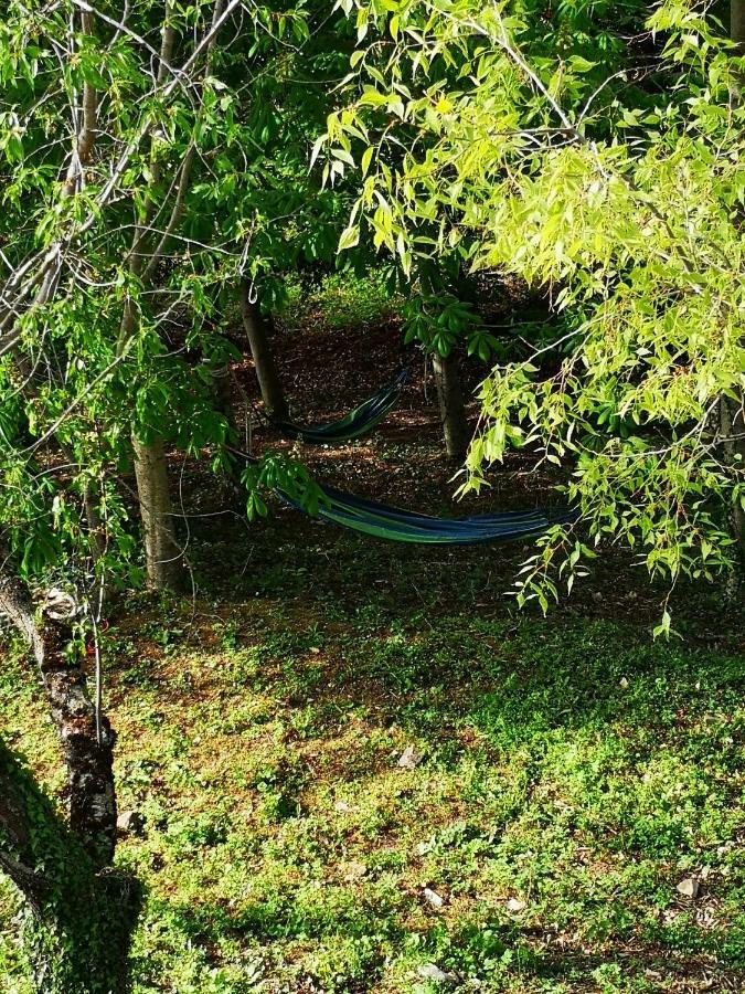 Agriturismo Il Noceto Villa Assisi Dış mekan fotoğraf