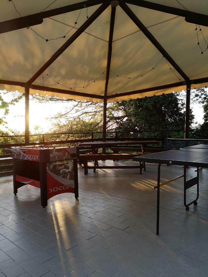 Agriturismo Il Noceto Villa Assisi Dış mekan fotoğraf