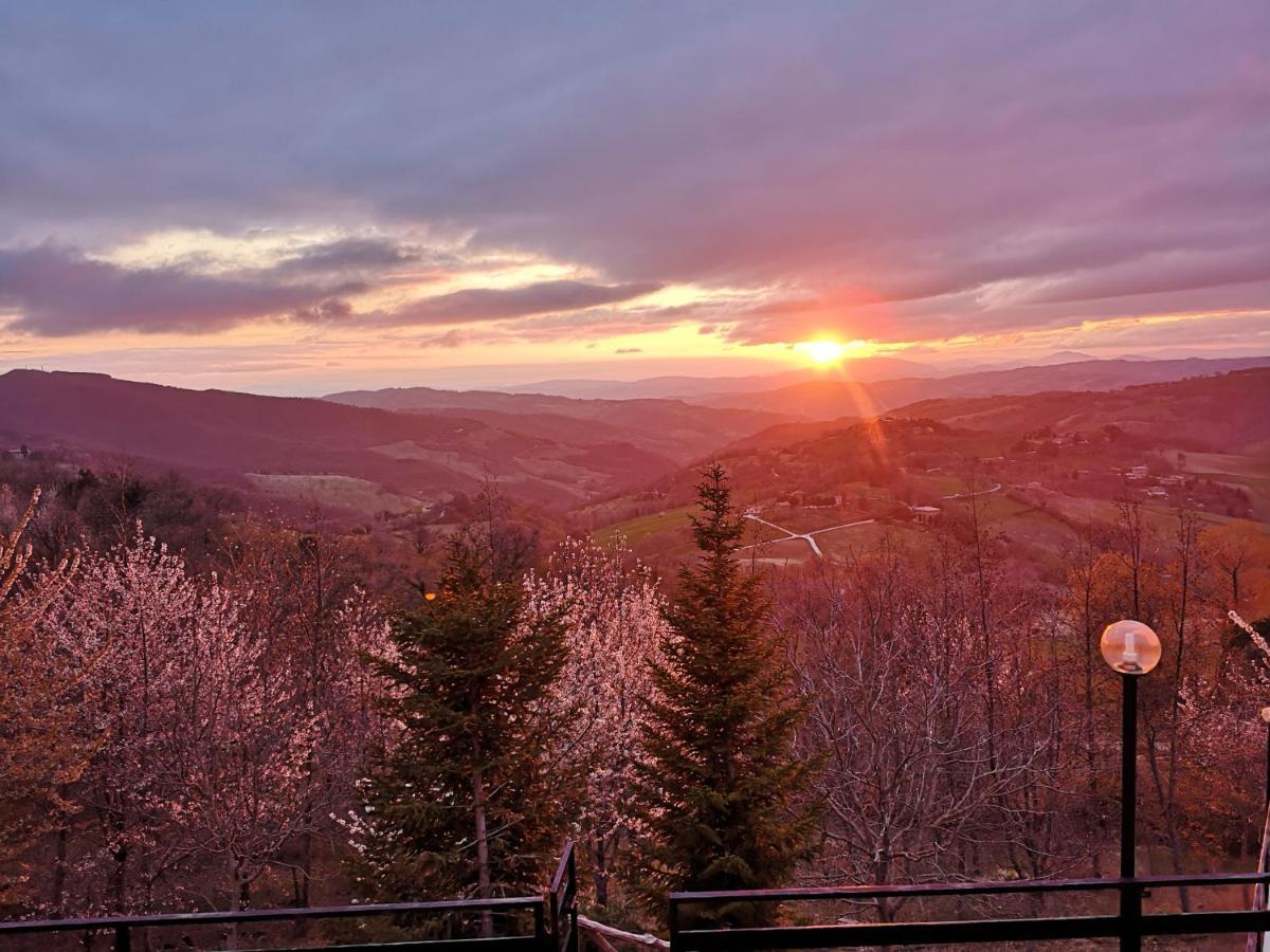 Agriturismo Il Noceto Villa Assisi Dış mekan fotoğraf