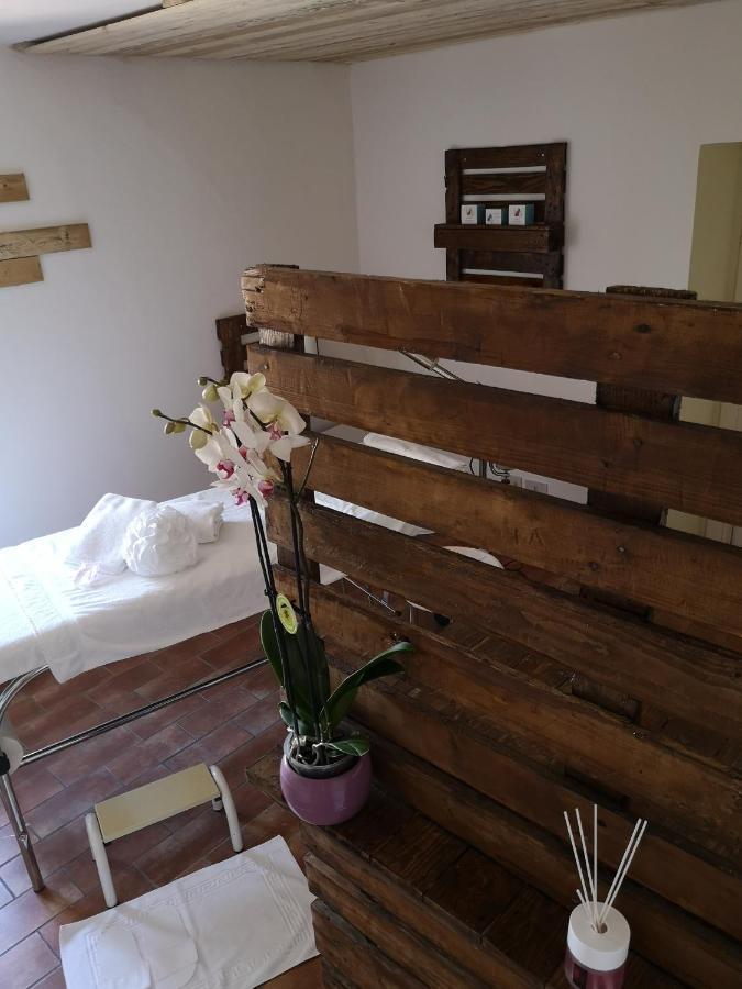 Agriturismo Il Noceto Villa Assisi Dış mekan fotoğraf