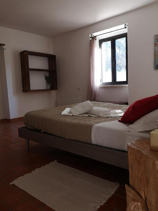 Agriturismo Il Noceto Villa Assisi Dış mekan fotoğraf