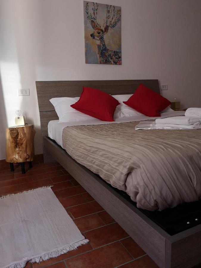 Agriturismo Il Noceto Villa Assisi Dış mekan fotoğraf