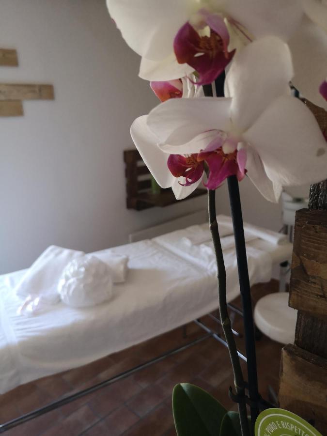 Agriturismo Il Noceto Villa Assisi Dış mekan fotoğraf